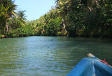 Daftar Sungai Terpanjang di Pulau Jawa, Ada yang Tinggi Tingkat Pencemarannya
