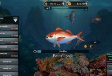 Download Kail Pancing Mod Apk New Version 2024 (Unlimited Coin & Unlimited Energy) Mainkan Sekarang!