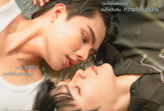 Où Regarder Drama BL Love Sea (2024) Épisode Complet VOSTFR, La Chute Amoureuse du Romancier