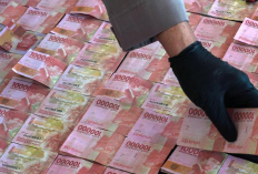 Pantes Aja! Inilah Ciri Ciri KTP Kamu Dipakai Buat Pinjol Illegal, Begini Cara Melihatnya! Jangan Sampai KTP Kamu Disalahgunakan
