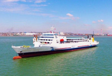 Update Kapal Banjarmasin - Surabaya April 2024: Jadwal Keberangkatan dan Harga Tiket Terbaru