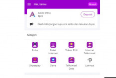 VIRAL Ahlipulsa Penipuan atau Bukan, Begini Testimoni Lengkap Dengan Nomor WA Adminnya