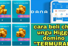 Cara Top Up Chip Ungu Higgs Domino Melalui DANA, GoPay, dan OVO, Paling Mudah dan Proses Cepat!