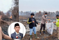 Miris! Choirussaib Anggota DPRD Mempawah Lakukan Pembakaran Lahan Sawit Viral, Kini Sampaikan Klarifikasi Maaf
