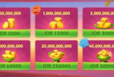 Update Harga Chip Boss Domino 1B Terbaru Tahun 2024, Termurah! Berikut Tips Cara Jual Biar Laris Manis!