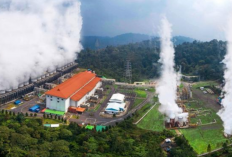 Dividen BREN Cum Date 11 Desember 2024, Prajogo Pangestu Borong Saham Hingga 8,21 Miliar