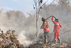 Langkah Taktis Pemerintah Atasi Karhutla Kalimantan yang Kian Meluas: Strategi Udara Lewat Rekayasa Cuaca