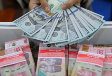 Cara Mendapatkan Uang di IFCWorks Com, Investasi Menggiurkan dengan Modal Minimal