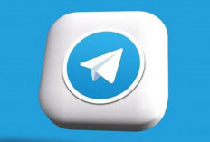 Rekomendasi Grup Live Bar Bar Telegram Gratis, Langsung Join Sekarang Juga Sebelum Penuh 