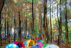 Harga Tiket Bumi Perkemahan Guci Forest di Tegal, Liburan Murah Meriah Dengan Nuansa Alam!