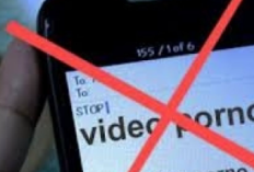 Link Video Guru dan Murid di Depok 1 Menit 30 Detik, Remas Pay*dara hingga Isi VN Whatsapp yang 'Menjerumus'