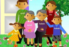 Cara Membuat Media Pembelajaran PAUD Tema Keluargaku dengan Menggunakan Kardus, Belajar Jadi Lebih Fun dan Mudah Dipahami