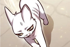 Manhwa Eleceed Chapitre 292 VF Scans, Lire Ici !  Différences de mission difficiles