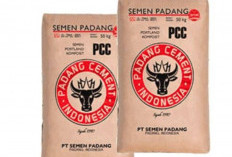 Info Harga Semen Padang Terbaru Resmi di Indonesia Mei 2024 Paling Update, Langsung Cek di Sini!