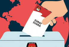 SIREKAP Pemilu 2024 Gagal Login? Jangan Khawatir! Ini Dia Solusi Gampangnya LENGKAP