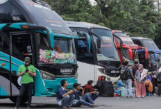 Jadwal Mudik Gratis Lebaran Kemenhub 2024 Dibuka Bulan Ini, Langsung Daftar Pakai Link di Bawah Ini Sebelum Kehabisan