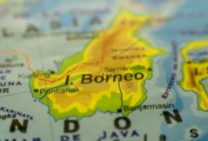 Rencana Provinsi Baru di Pulau Kalimantan, Berikut 5 Usulan Wilayah Beserta Ibu Kotanya