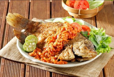 Daftar Harga Menu Omah Rayap Resto Solo Terbaru 2023, Berbagai Kuliner Khas Tersedia Disini!
