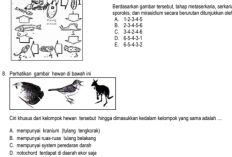 Link PDF Kumpulan Soal PTS Biologi Kelas 10 SMA/ MA Tahun 2023 Lengkap Dengan Kunci Jawabnya