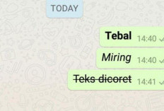 2 Cara Membuat Tulisan Tebal Miring Dicoret dan Monospace di WA Tahun 2023, Chat Whatsapp Jadi Makin Seru!