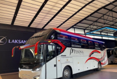 2 Rekomendasi  Bus Makassar-Morowali Beserta Tarif dan Alamat Lengkap, Cek Ongkos Hingga Rute Perjalanannya