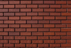 Perhatikan! Cara Memilih Batu Bata yang Bagus Untuk Bangunan, Berikut Cara Mengetesnya
