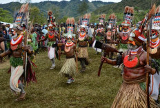 6 Alasan Warga Papua Tolak Pemekaran Wilayah: Daerah Baru Untuk Siapa, Kepentingan Publik atau Agenda Politis?