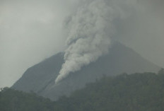 Kabar Terbaru Erupsi Gunung Lewotobi Laki – Laki NTT, BMKG Sebut Suplai Magma Masih Banyak Waspada Potensi Banjir Lahar! 