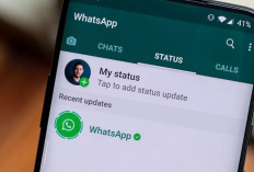 Bot Sticker WA Terbaru 2024 dan Masih Aktif 24 Jam Non Stop, Begini Cara Menggunakannya