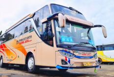 Jadwal dan Tarif Bus Murni Jaya Pagi-Sore Terbaru 2023, Tujuan Daerah Jawa Tengah dan Jogja