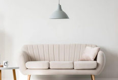 Tips Memilih Sofa Untuk Rumah Minimalis, Ruang Tamu Kecil Bisa Terlihat Leluasa dan Aesthetic!