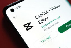 Cara Mengatasi CapCut Tidak Bisa di Download di HP Lakukan 5 Hal Ini Langsung Beres