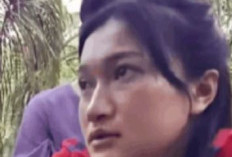 Link Video Kebun Sawit 7 Menit Viral Ibu Tiri vs Anak Tiri Paling Dicari, Identitas Pemeran Ternyata Ini!