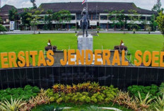 Daftar Prediksi Nilai Rata Rata SNBP Unsoed 2024 Terbaru Untuk Saintek dan Soshum, Cek Nilaimu di Sini