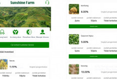 Apakah Sunshine Farm Penghasil Uang Terbukti Membayar? Begini Ulasan Langsung dari Penggunanya!