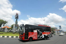 Tips dan Trik Naik Bus Kuta ke Ubud Bali, Hati Senang Wisata Pun Lancar 