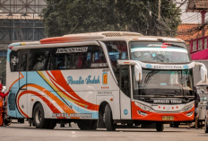 Jadwal Bus Kediri Semarang Terbaru 2023, Punya Armada Nyaman dan Full AC