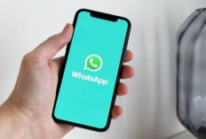 Google My Activity Whatsapp Adalah? Fitur Bermanfaat Untuk Pantau Aktivitas Ayang