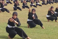 Urutan Tingkatan Sabuk PSHT Mulai dari Awal hingga Akhir, Serta Biaya Setiap Kenaikan Sabuk