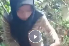 Link Video Museum Pacitan Neng Alas Asli Viral TikTok dan Twitter Full 1 Menit 19 Detik Mediafire, Bocah SMP Bukan Maen