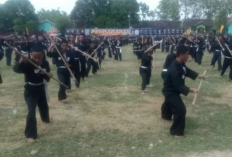 Download Materi Jurus Toya PSHT 1-25 PDF/DOC Gratis, Panduan Latihan Lebih Mudah dan Praktis