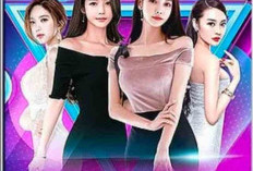 Hot51 Live Mod Apk Unlocked All 2024 Download, Free Tanpa Biaya Streaming Live Tanpa Batas!