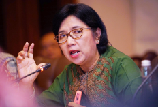 Profil & Biodata Destry Damayanti, Calon Tunggal Deputi Gubernur Senior BI Periode 2024-2029