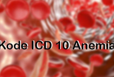Daftar Kode ICD 10 Pada Anemia Beserta 3 Jenis Lainnya: Nutrisional, Hemolitik dan Aplastik