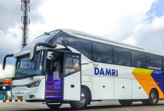 Jadwal & Harga Tiket Bus Gilimanuk-Denpasar Terbaru 2023, Perjalanan Jadi Murah dan Mudah