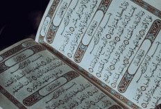Contoh Bacaan Idgham Bila Ghunnah di Alquran yang Bisa Kamu Jadikan Bahan Belajar Biar tak Salah Baca Lagi 