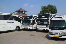 Daftar Bus Pelabuhan Gilimanuk Denpasar PP Terbaik 2023, Liburan ke Bali Jadi Makin Mudah dan Aman