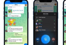 Kumpulan Link Telegram Penghasil Uang Langsung Cair 2024 yang Terbukti Membayar: Langsung Join Aja 