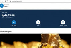 Cara Dapat Uang Banyak di Avino Finance Com Aplikasi Investasi Login Cair 35 Juta, Lengkap Dengan Faktanya: Cek di Sini 