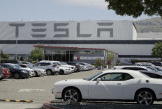 Tesla Bakal Bangun Pabrik di Indonesia, Elon Musk Langsung Berikan Peringatan